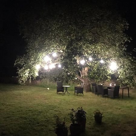 Redbrook Farm Bnb - Gateway To The New Forest Fordingbridge Luaran gambar