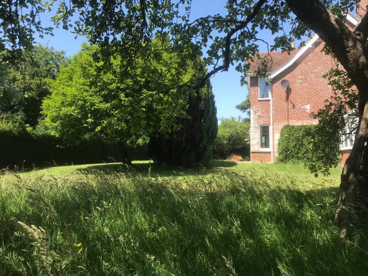 Redbrook Farm Bnb - Gateway To The New Forest Fordingbridge Luaran gambar