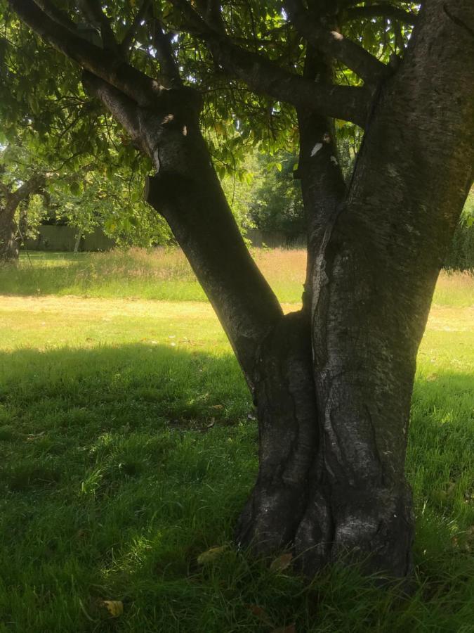 Redbrook Farm Bnb - Gateway To The New Forest Fordingbridge Luaran gambar