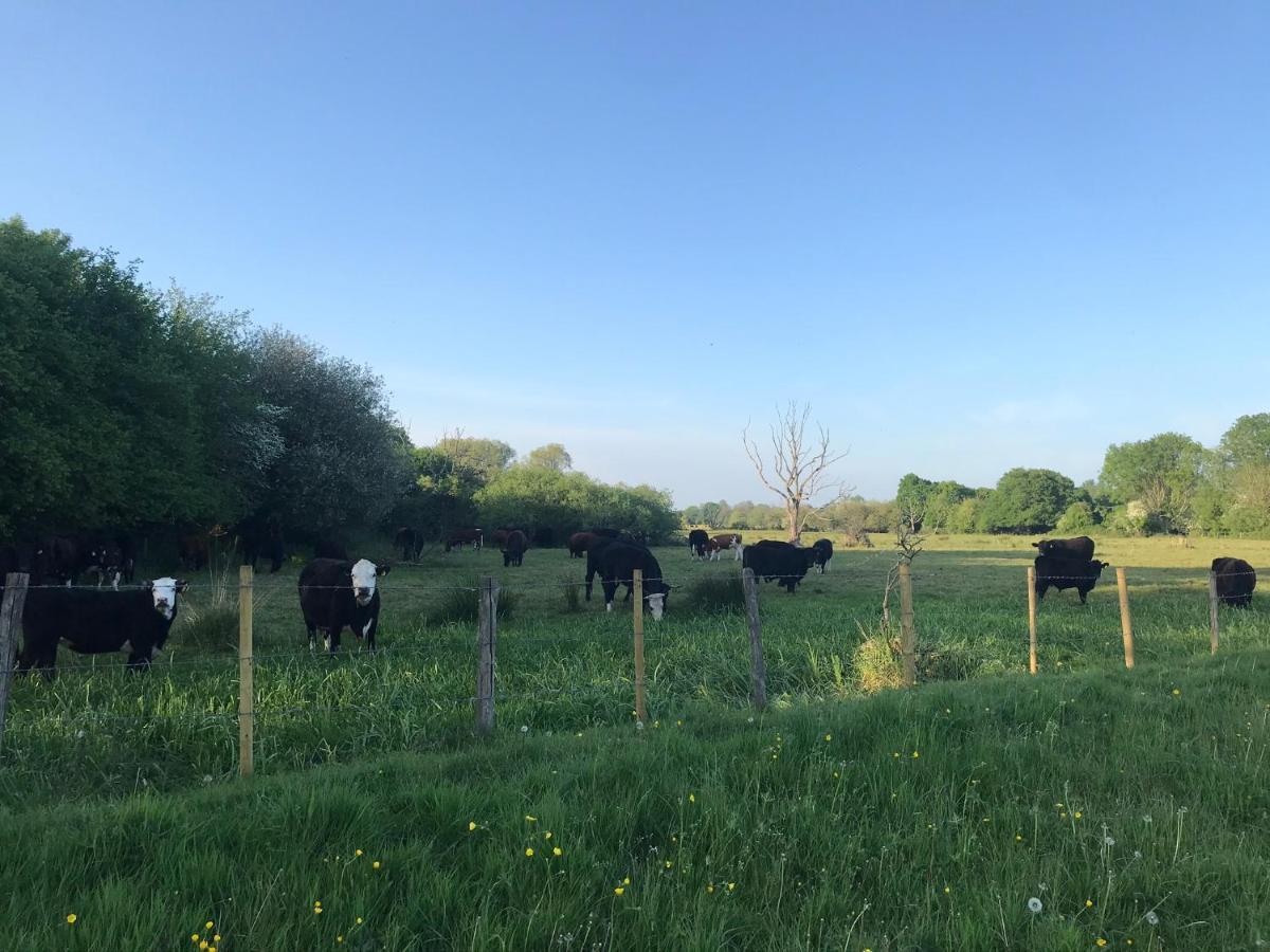 Redbrook Farm Bnb - Gateway To The New Forest Fordingbridge Luaran gambar