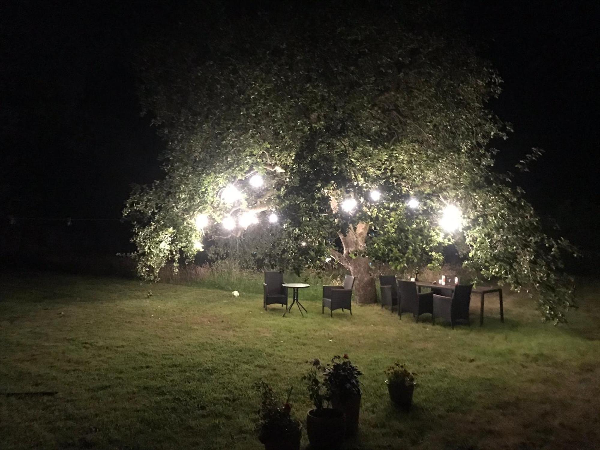 Redbrook Farm Bnb - Gateway To The New Forest Fordingbridge Luaran gambar