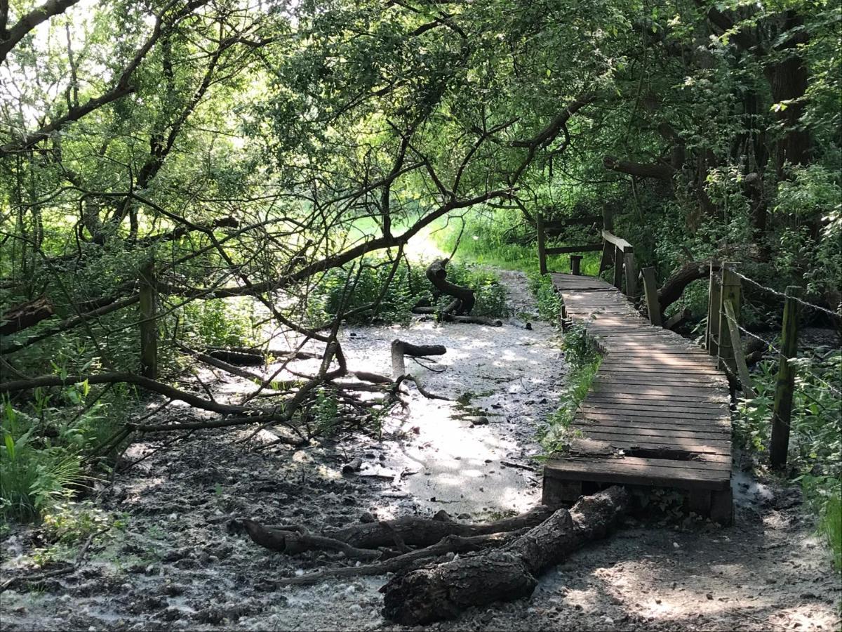 Redbrook Farm Bnb - Gateway To The New Forest Fordingbridge Luaran gambar