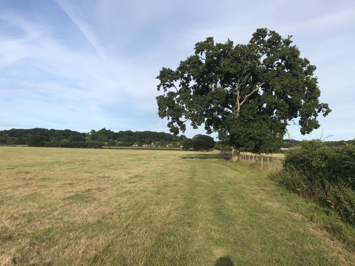 Redbrook Farm Bnb - Gateway To The New Forest Fordingbridge Luaran gambar
