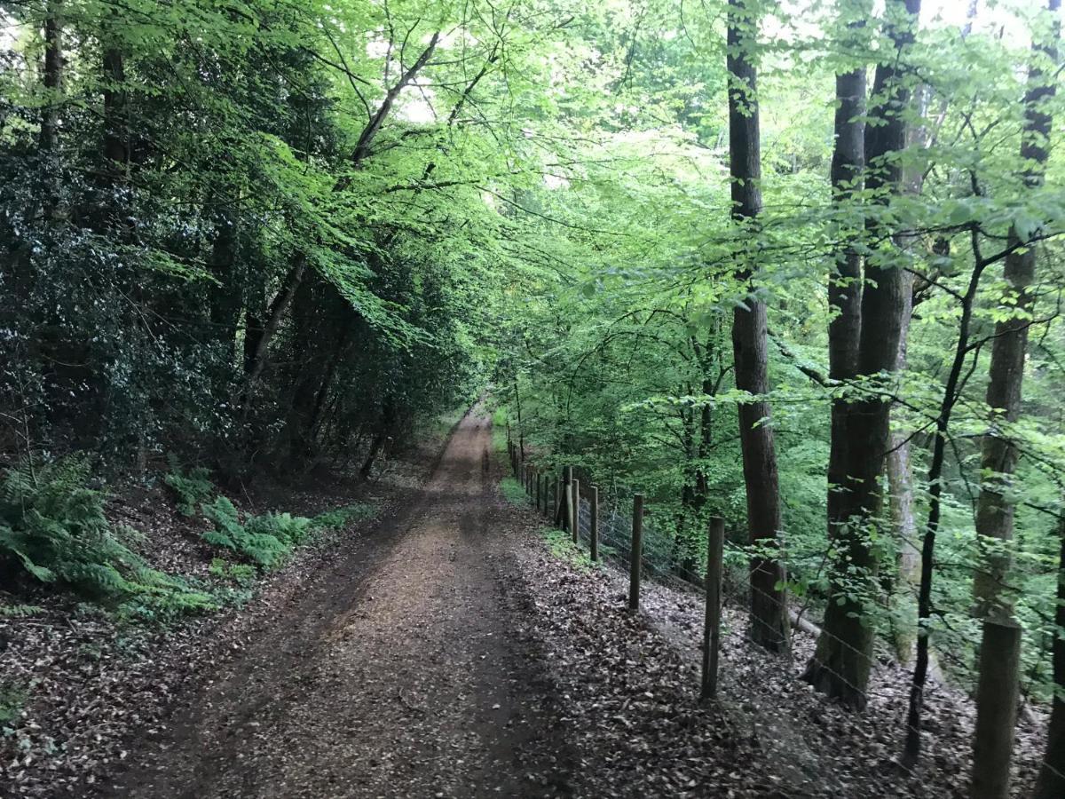 Redbrook Farm Bnb - Gateway To The New Forest Fordingbridge Luaran gambar