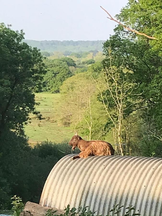 Redbrook Farm Bnb - Gateway To The New Forest Fordingbridge Luaran gambar