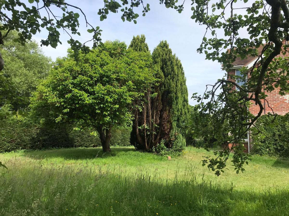 Redbrook Farm Bnb - Gateway To The New Forest Fordingbridge Luaran gambar